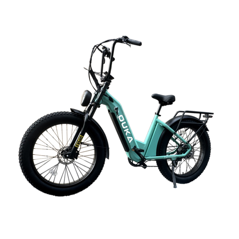 SAKU　HANDYBIKE 8 BURCHDA RX80 Electric Bike for Adults,1000W Motor 48V20AH