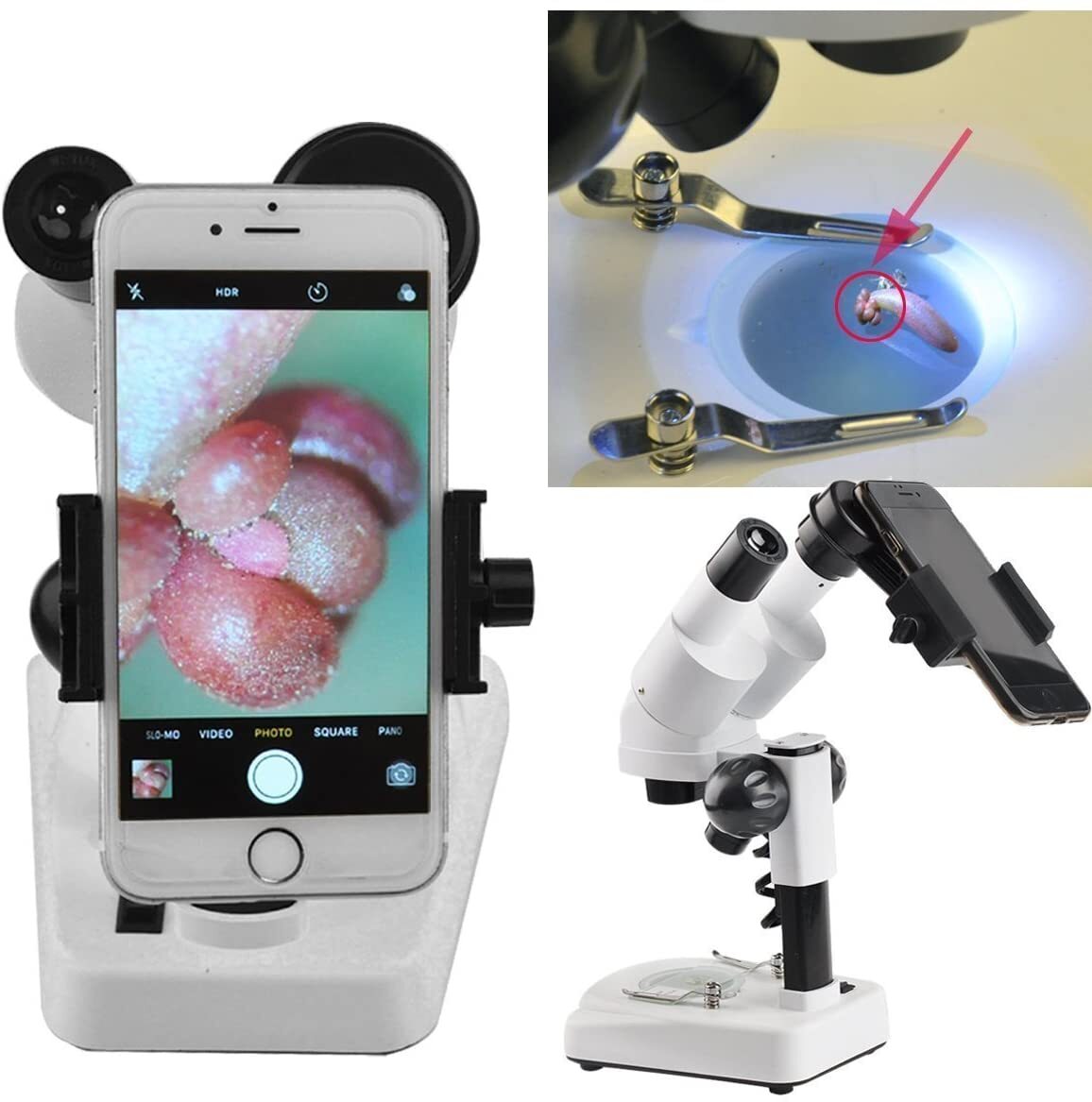 Microscope avec support Smartphone
