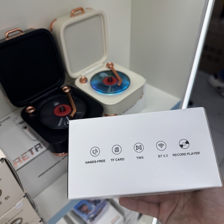 Treasure Box Wireless Portable Speaker