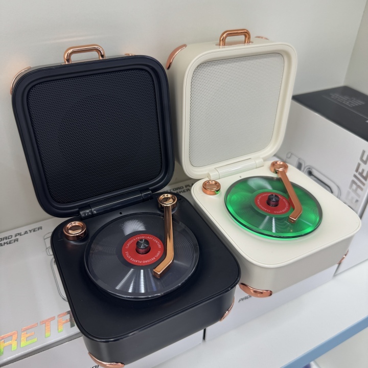 Treasure Box Wireless Portable Speaker