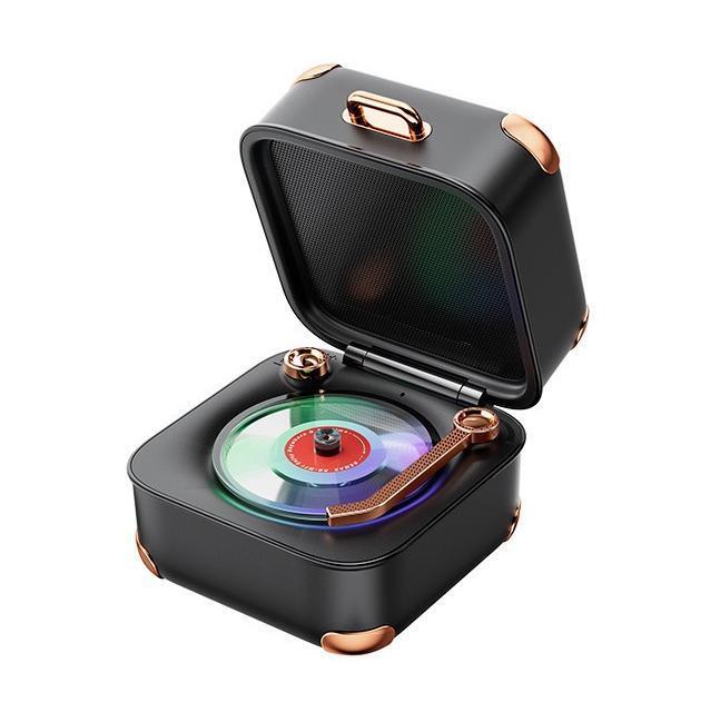 Treasure Box Wireless Portable Speaker