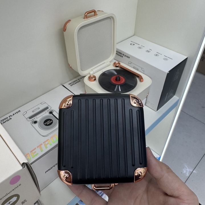 Treasure Box Wireless Portable Speaker