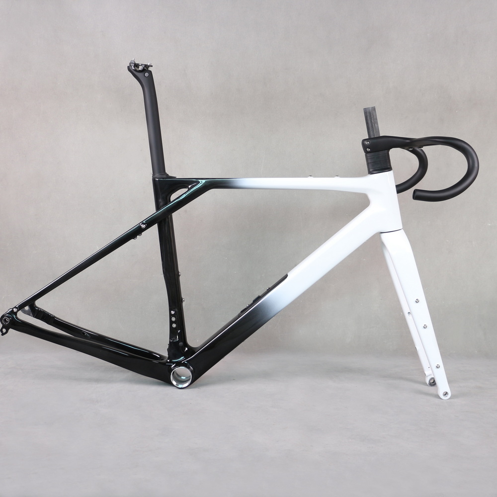 Black_White_Paint_Carbon_Fiber