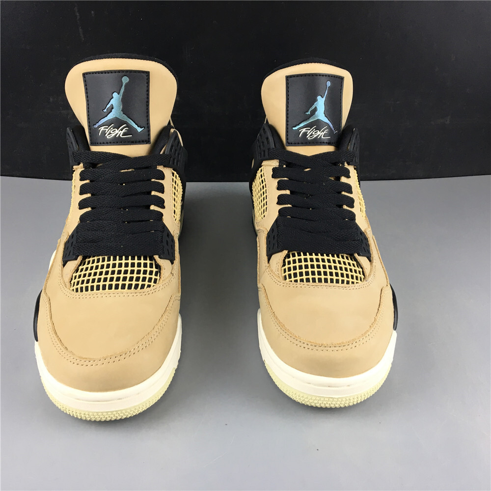 WMNS Air Jordan 4 Retro 