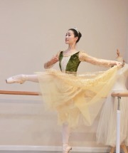 18036 Green Ballet Costumes Romantic Tutus