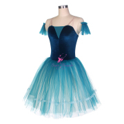 21252 Ballet Costumes Romantic Tutus