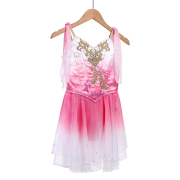 B25003 Ombre hot Pink Cupid or Talisman Ballet Costumes