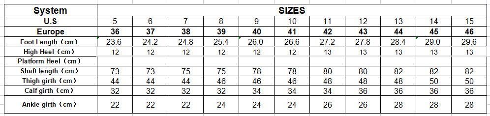 Sorbern 12Cm Punk Style Boots Women Pointed Toe Thick Hard Shaft Unisex Drag Queen Boots