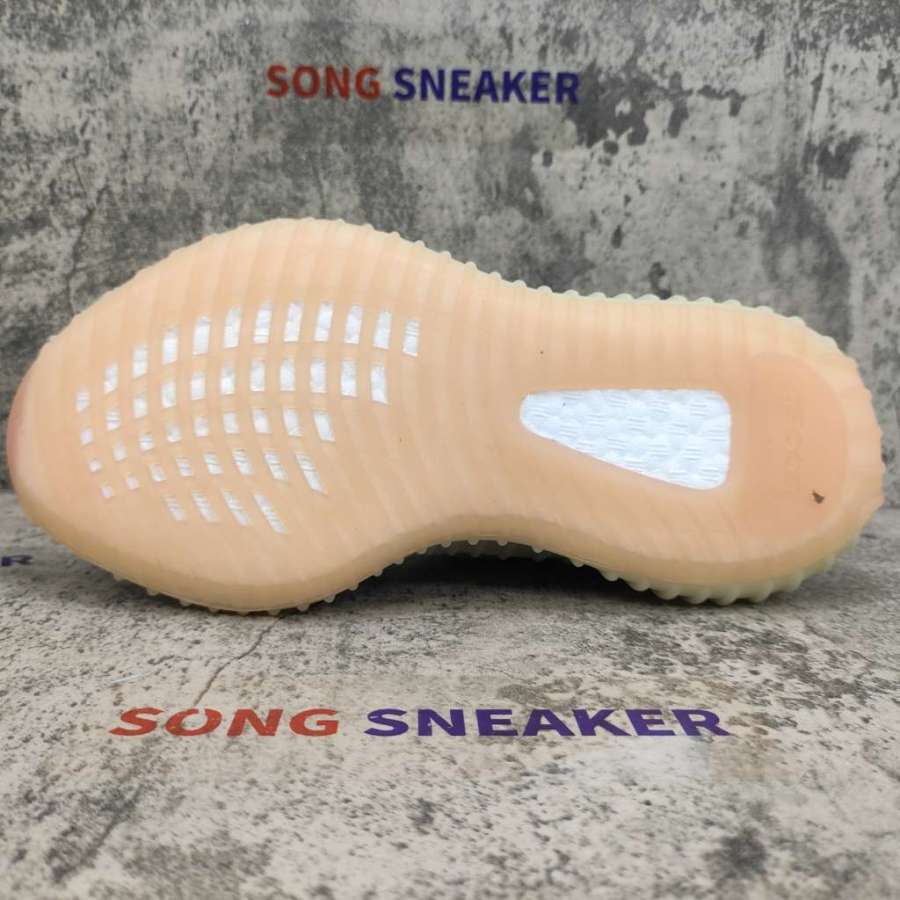 350 v2 citrin reflective