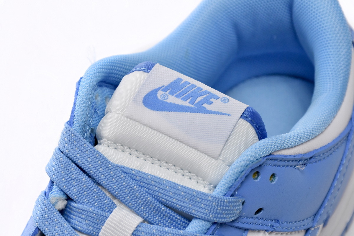Nike Dunk Low Retro .“University Blue＂DD1391-102