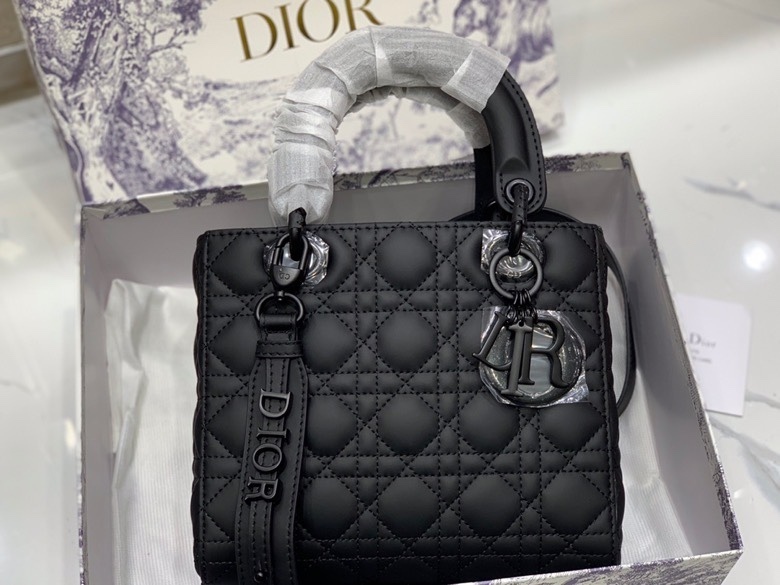 dior on the go bag price