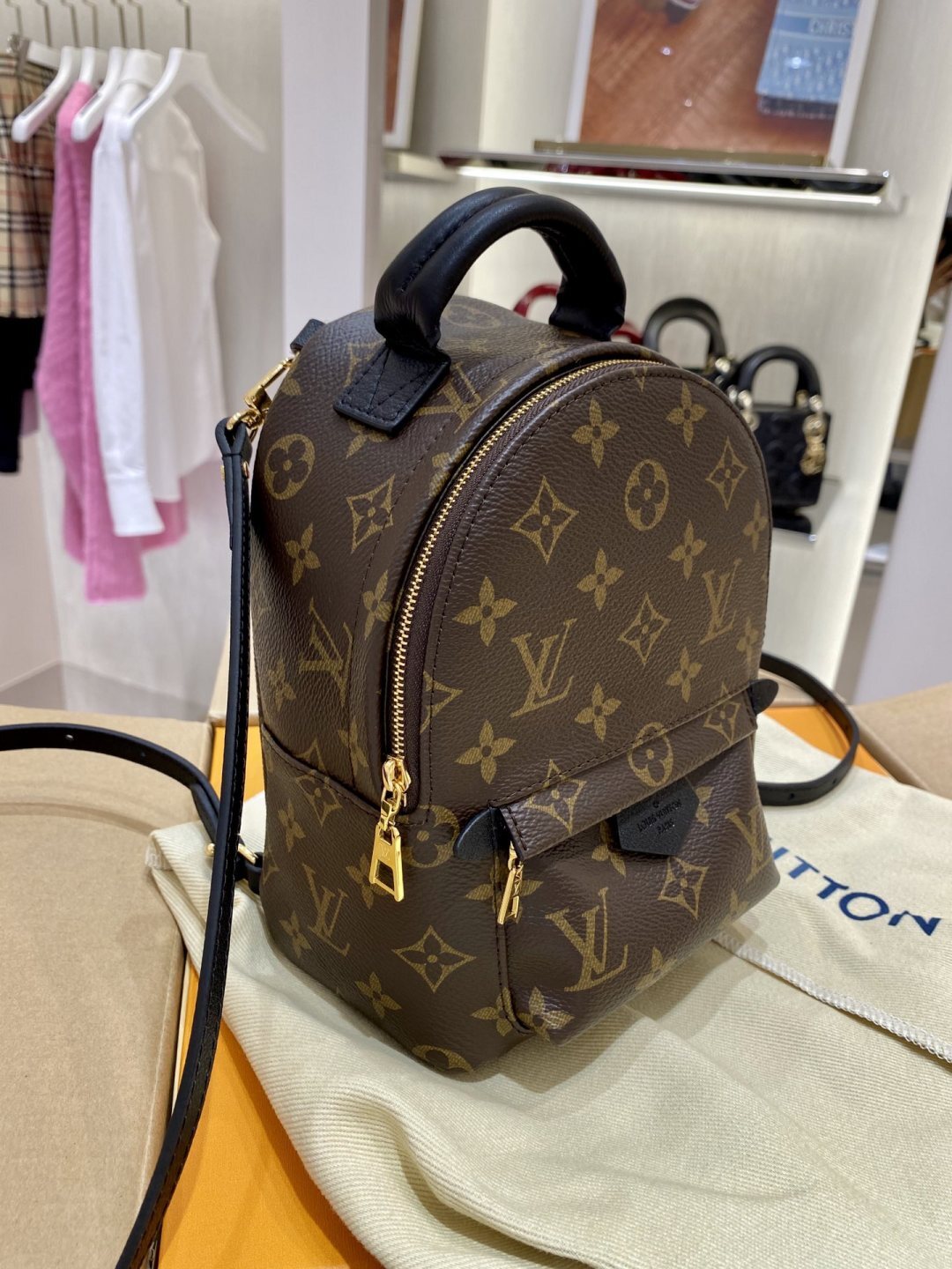 Lv Mini Backpack Dhgate Tracking Stanford Center For Opportunity 