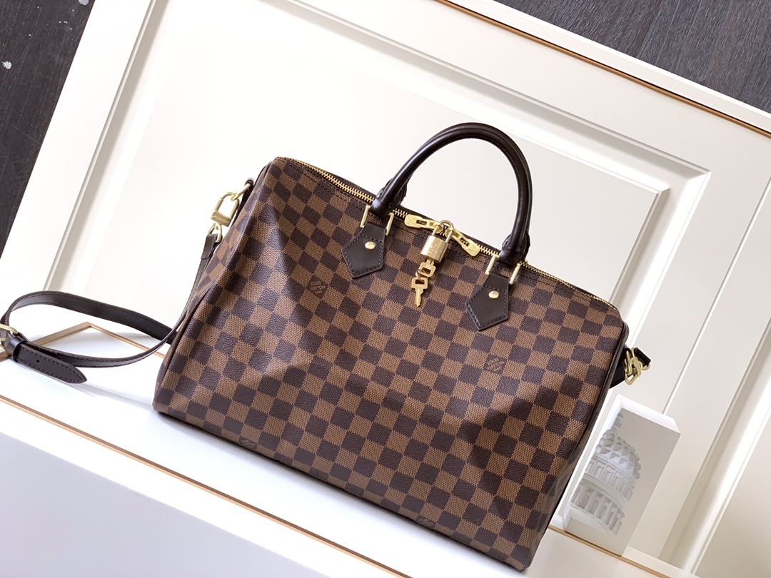 lv speedy bag price