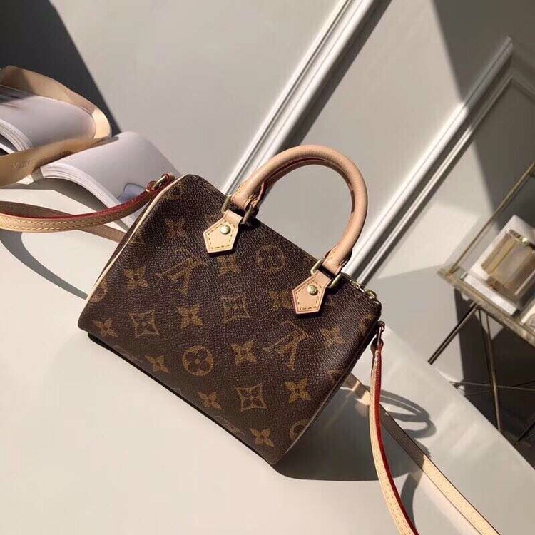 LV NANO SPEEDY bag 16CM M61252---1:1 