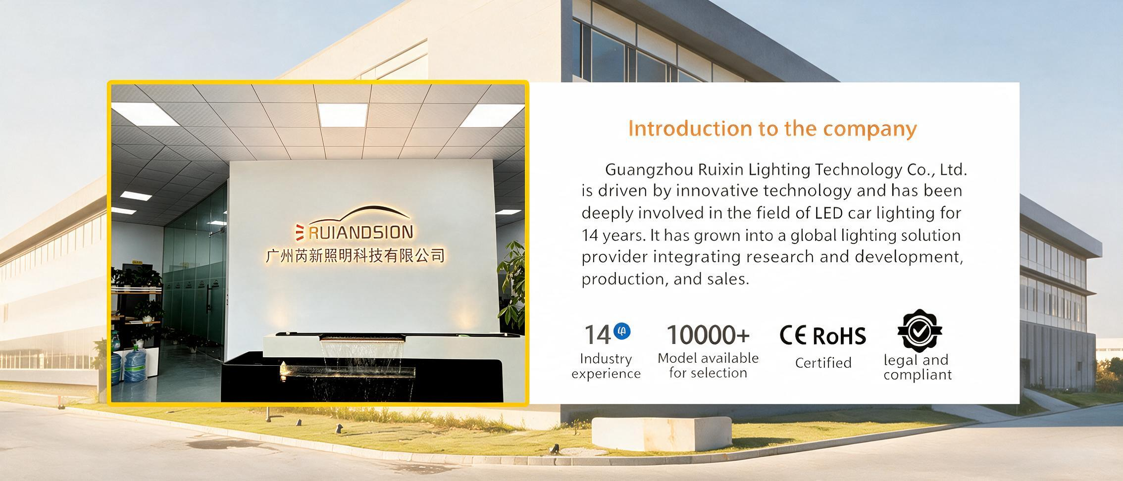 About Ruiandsion