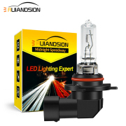 Ruiandsion 9005 9006 Halogen Headlight Bulb 100W White Yellow Manufacturer