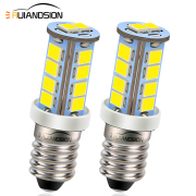 Ruiandsion E10 Screw Base Miniature Bulbs mini mag flashlight 6V 12V White