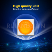car reverse bulb