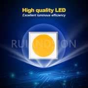 Ruiandsion 2pcs 6V 12V 24V LED Auto Interior Lights Aftermarket Car Roof CANBUS Ruiandsion ERROR 41mm FREE 211-2 578 44mm Festoon Bulb White 2W