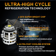 Set Ruiandsion High Power 60W 6600LM LED High Power 3570 Chip for Auto Moto Headlight Bulbs Wholesale Set Ruiandsion High Power 60W 6600LM LED High Power 3570 Chip for Auto Moto Headlight Bulbs Wholesale ATV LED headlight bulbs waterproof,motorcycle LED headlight bulb H4,best LED headlights for off-road,wholesale LED headlight bulbs,bulk LED bulbs for auto shops,LED fog light bulbs H11 6000K,OEM LED headlight bulbs supplier