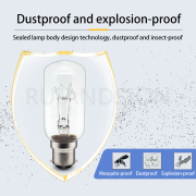 Ruiandsion B22 60W 65W Ambient Decorative Home Halogen Lighting 110V 220V Warm White Ruiandsion B22 60W 65W Ambient Decorative Home Halogen Lighting 110V 220V Warm White Ruiandsion,Home Lighting,Chandeliers,Ambient light,Decorative light,track lights,boat interior lighting,RV light,supplier
