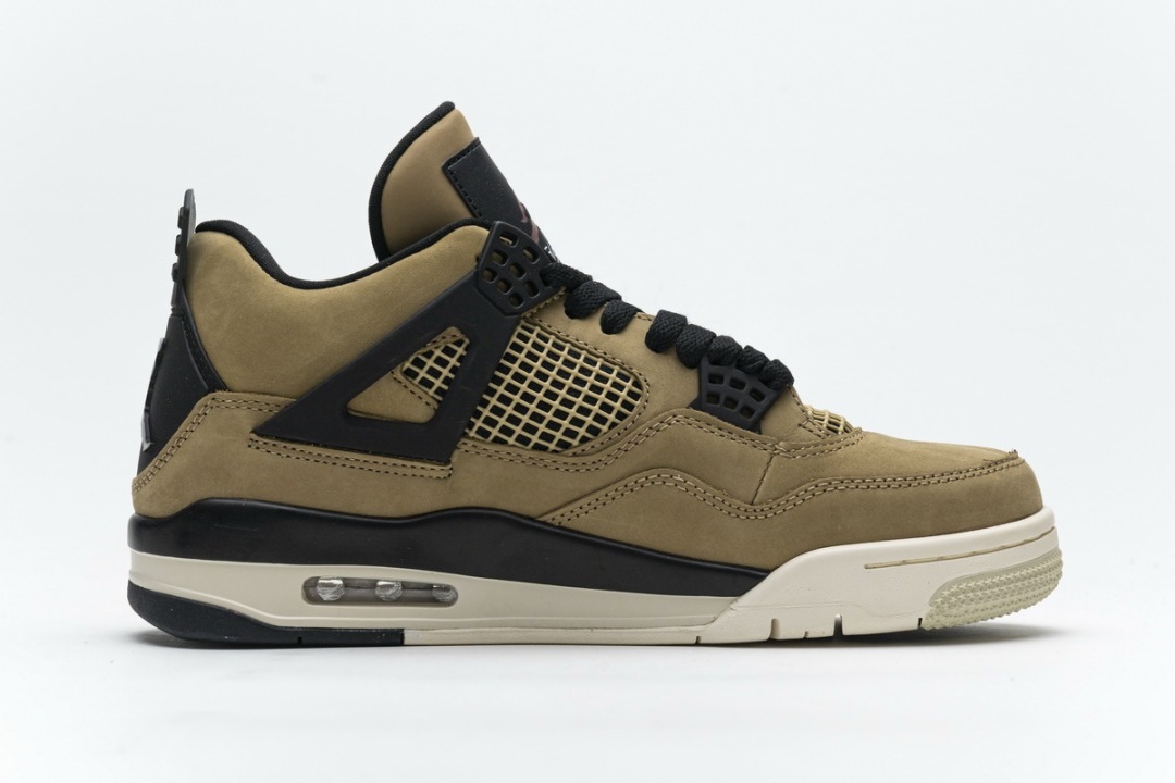 aj 4 fossil