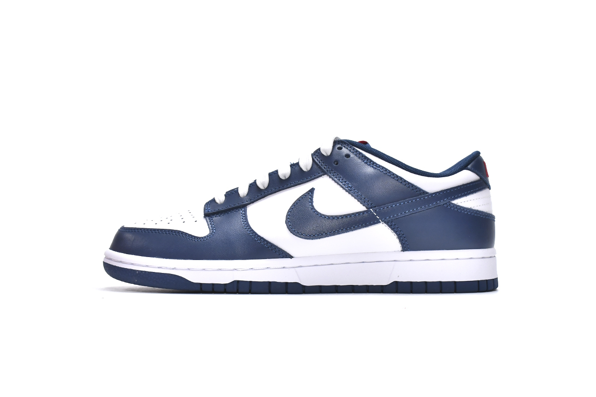 Nike Dunk Low Valerian Blue DD1391-400 - Sneakercome.com