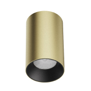 Golden 15W 25W 33W Surface Mounted LED Downlight Spotlight【LXS0685A】