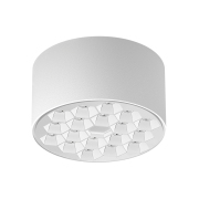 【ALXS80106】12W White LED Ceiling Lamp Spotlight/Downlight
