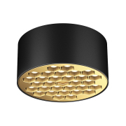【ALXS80106】20W Black + Gold LED Ceiling Lamp Spotlight/Downlight