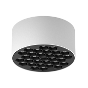 【ALXS80106】20W White + Black LED Ceiling Lamp Spotlight/Downlight