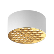 【ALXS80106】20W White + Gold LED Ceiling Lamp Spotlight/Downlight