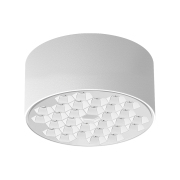 【ALXS80106】20W White LED Ceiling Lamp Spotlight/Downlight