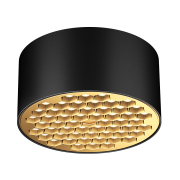 【ALXS80106】30W Black + Gold LED Ceiling Lamp Spotlight/Downlight