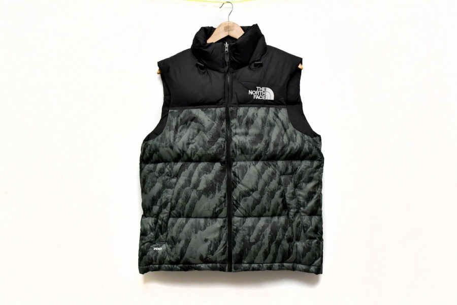 Where to Buy the $68 THE NORTH FACE 1996 RETRO VEST
