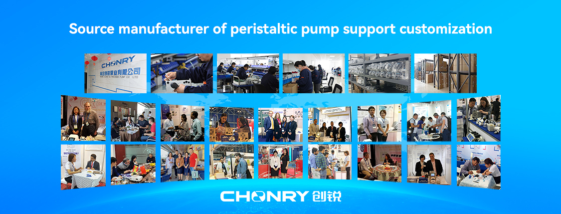 2V/24V DC Motor Peristaltic Pump,Laundry Pump peristalticpump 2V/24V DC Motor Peristaltic Pump,Laundry Pump