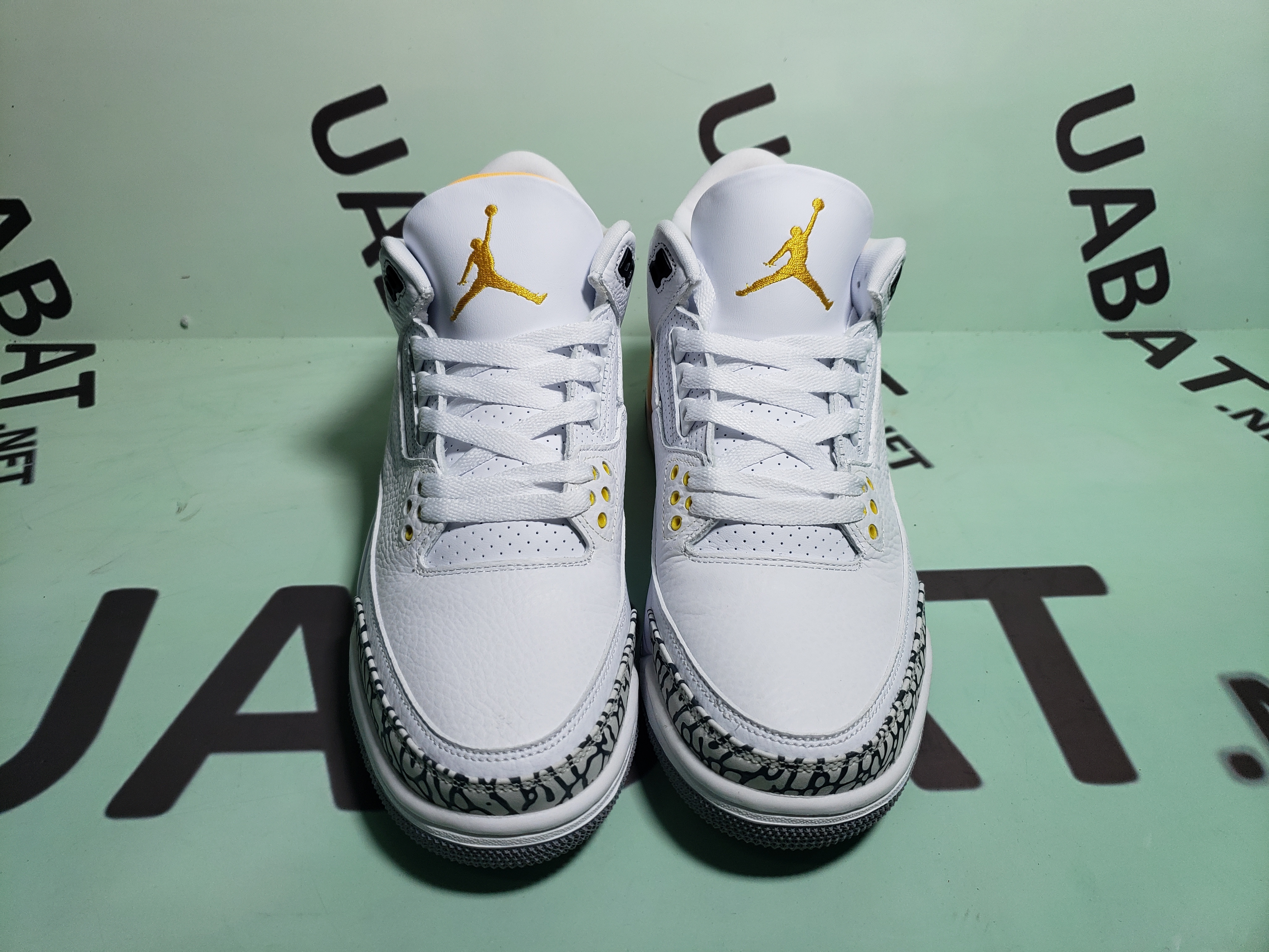 Air Jordan Delta 3 Low SP