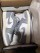 Really good suede