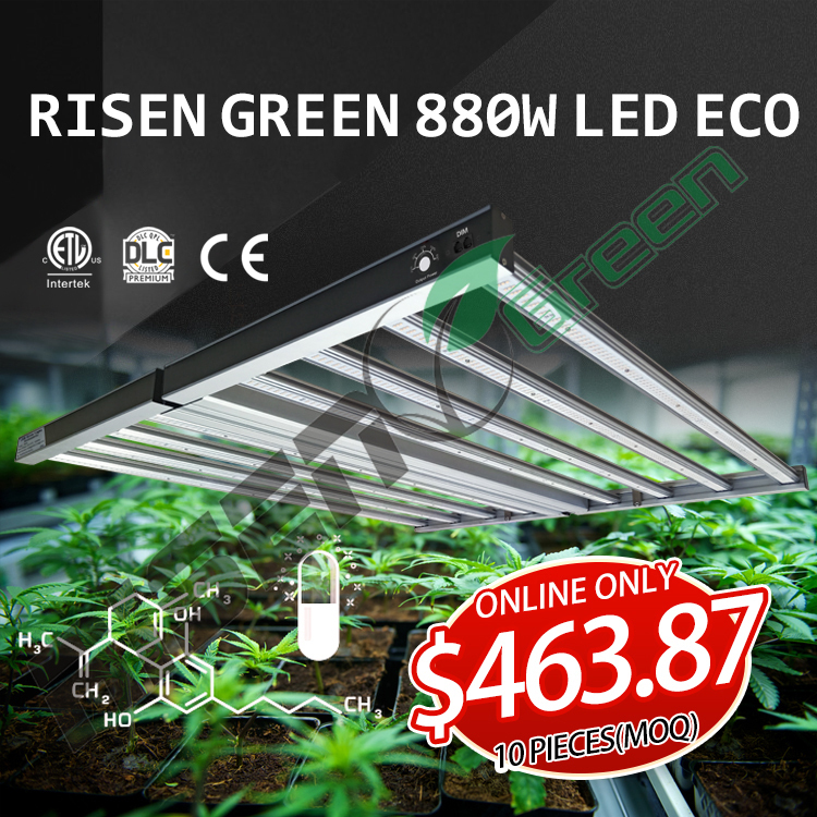 880W Full Spectrum Commercial Foldable Led Grow Lights for Marijuana