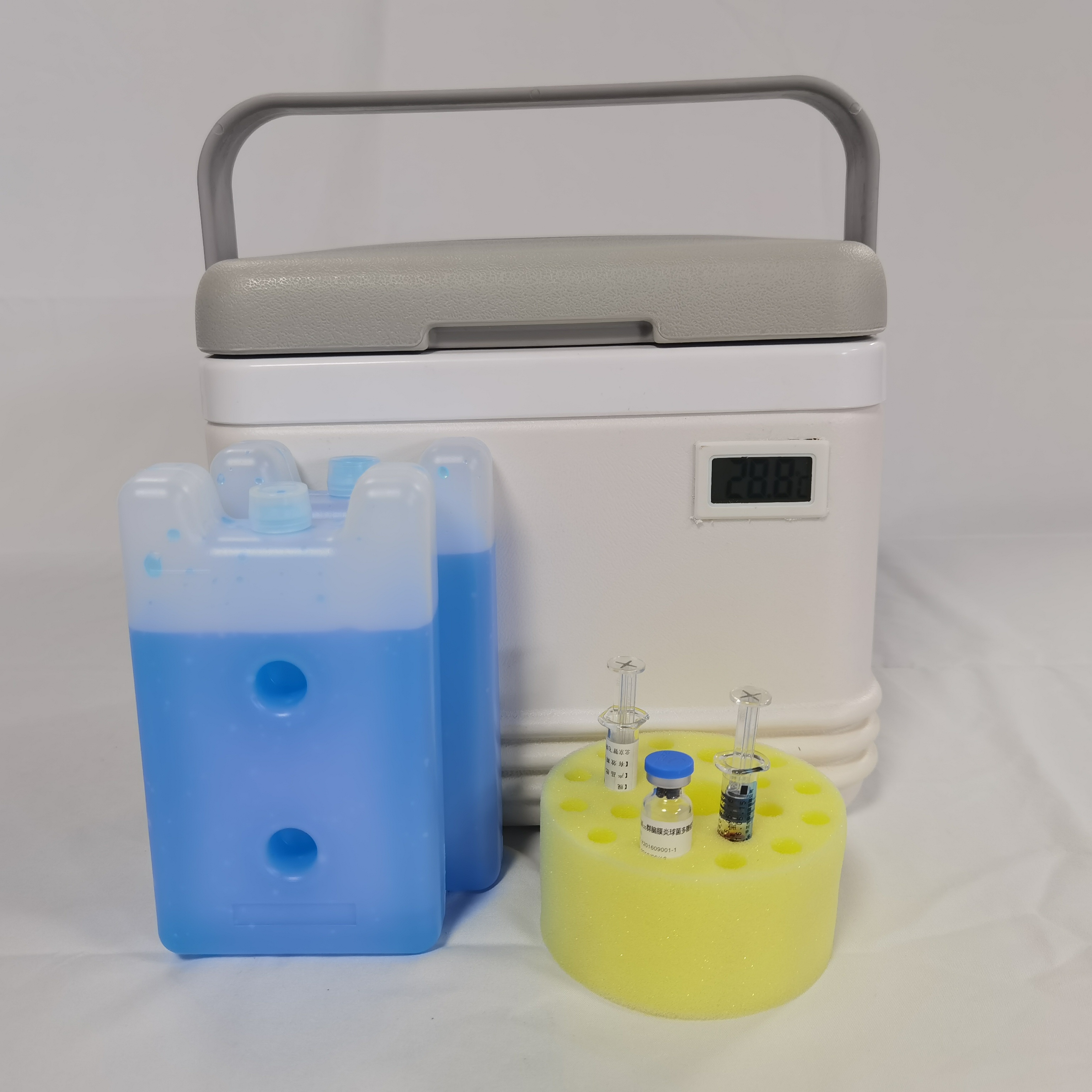 Cooler Icebox for Medical Vaccine Carrier and Cold Box for Fruit