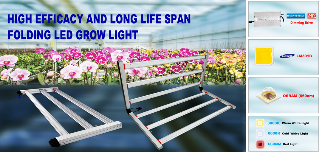 20/30/50/100W LED Plant Grow Flood Light Veg Waterproof Greenhouse Full Spectrum 