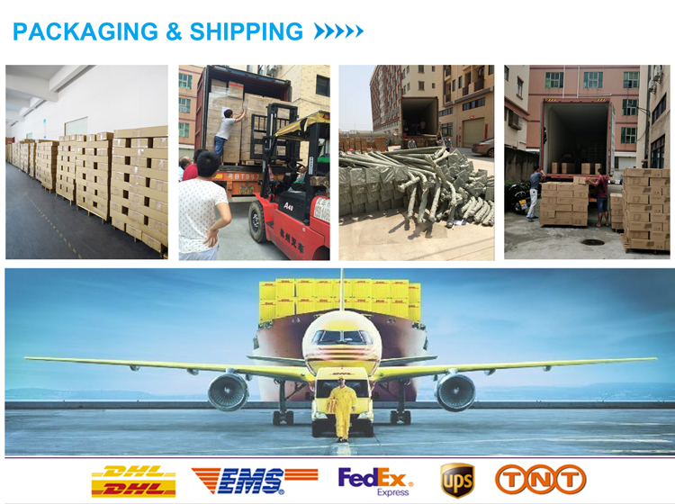 Ready to ship outdoor lighting High quality Aluminum housing 2 years warranty 50w 100w 150w 200w 250w 300w module street lamp for road