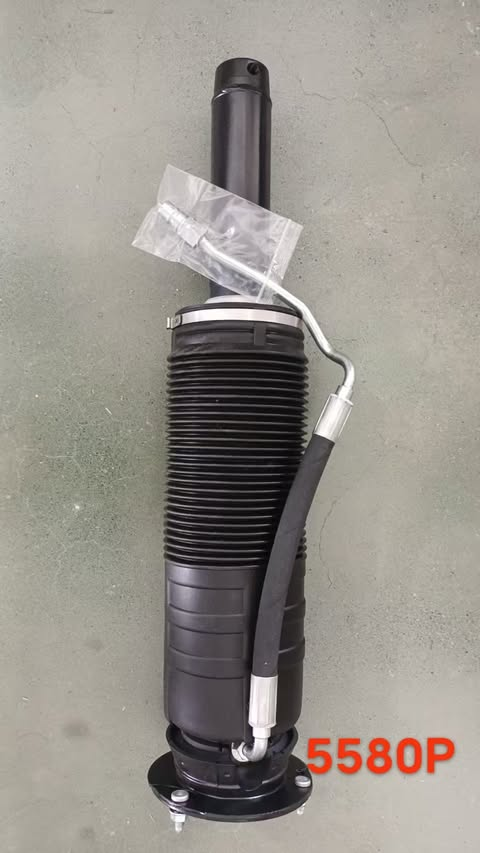 OEM quality W221 Rear oil ABC strut