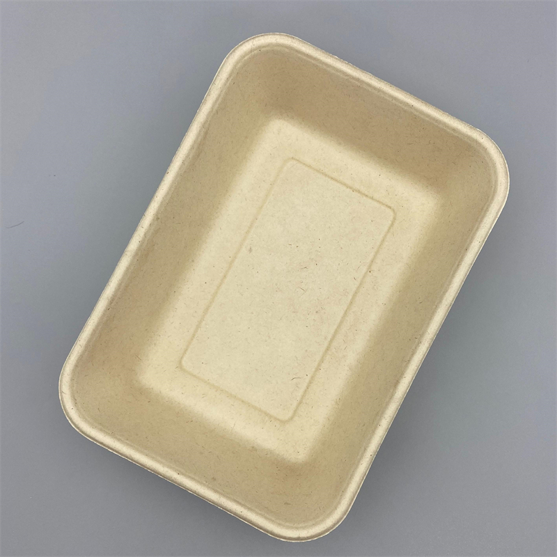 Biodegradable Disposable Serving Trays