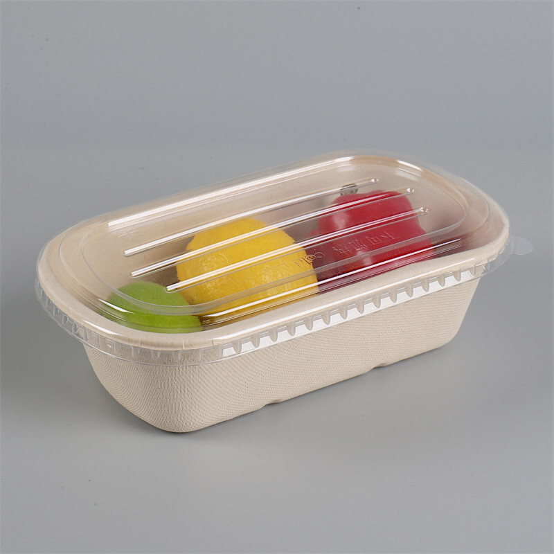 https://images.51microshop.com/12314/product/20230106/1000ml_Rectangular_Bagasse_Container_Disposable_Catering_Supplies_1672977218516_1.jpg