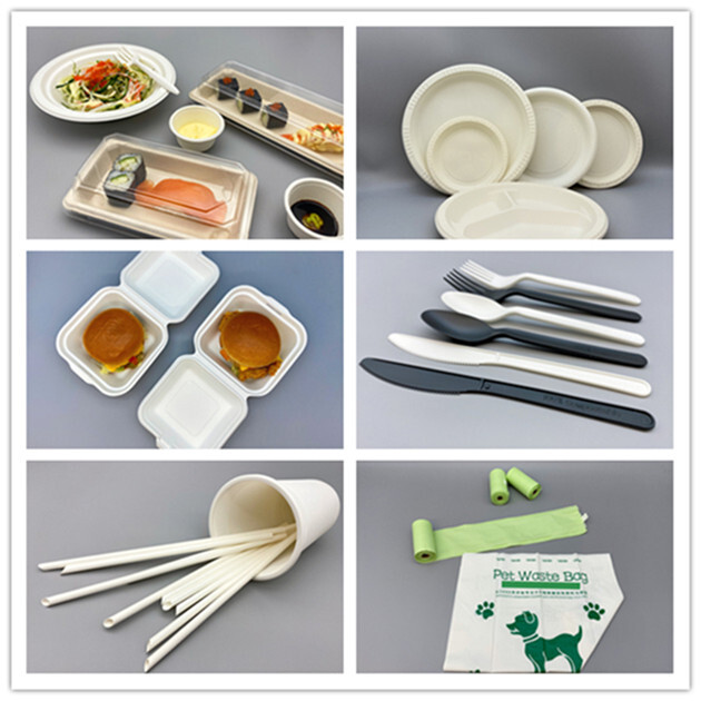 biodegradable disposable tableware, eco-friendly packaging, sugarcane tableware