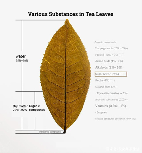 The Chemical Composition of Tea-Part 3: Aromatic Substances and Sugar