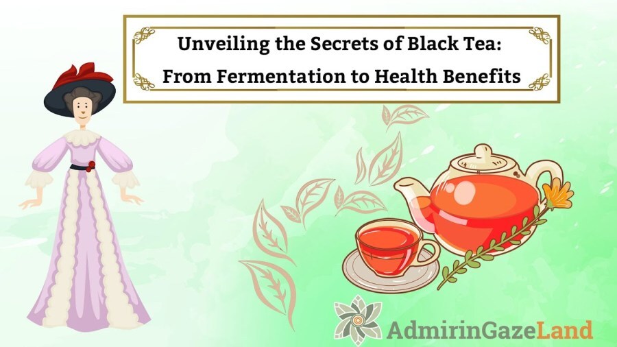 Unveiling the Secrets of Black Tea: From Fermentation to Health Benefits