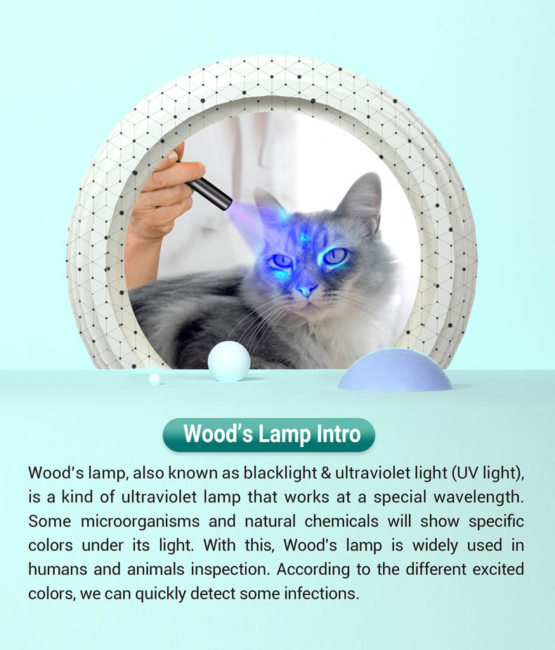 NEXTORCH Dr.K3 UV 365 nm UV LED 2 x AAA Wood’s Lamp UV Penlight