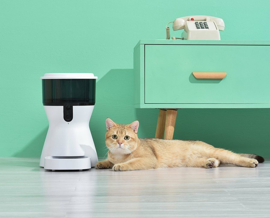 How To Choose The Best Automatic Cat Feeder?  [Ultimate Guide 2022]